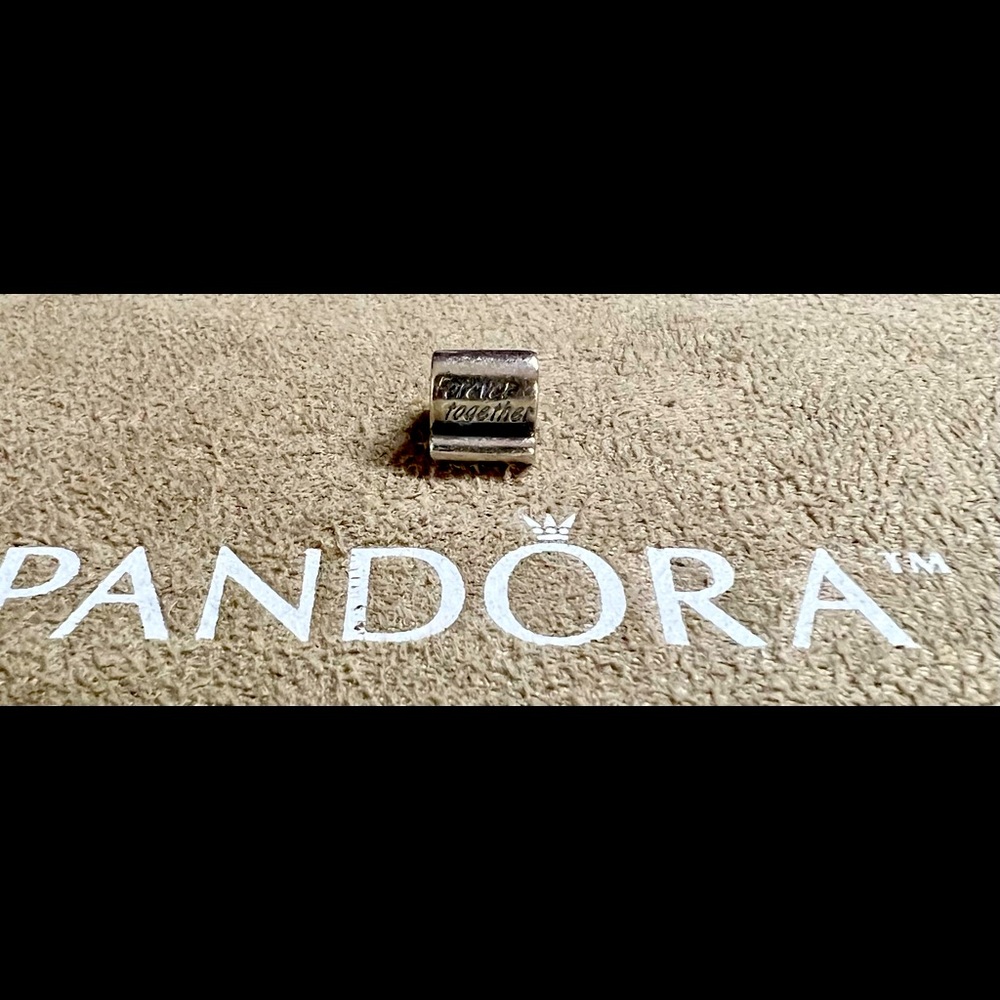 Pandora Charm